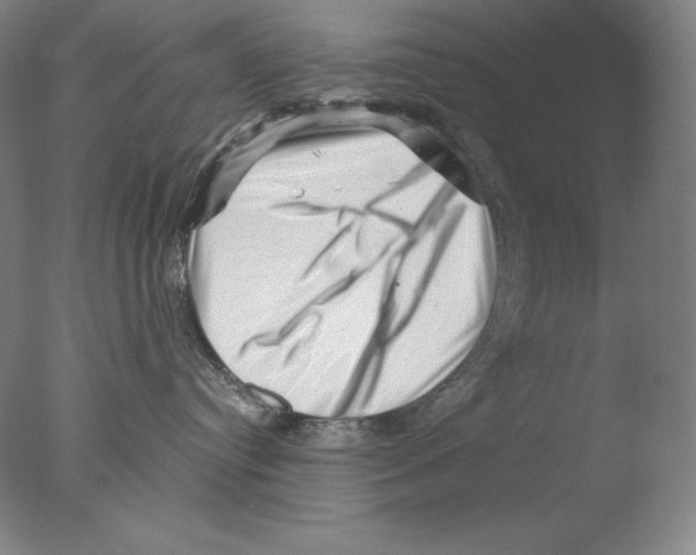 X0000076070384200610202020