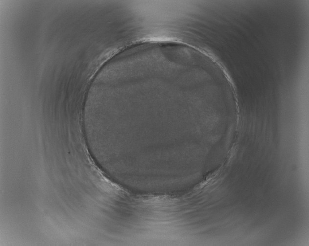 X0000076070385200610202020