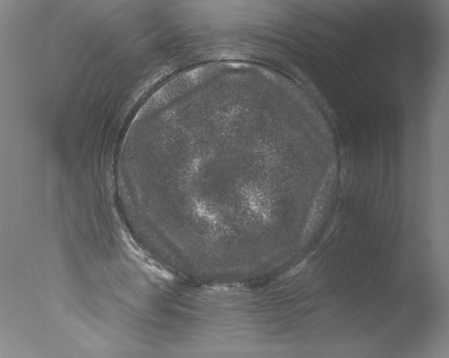 X0000076070386200610202020