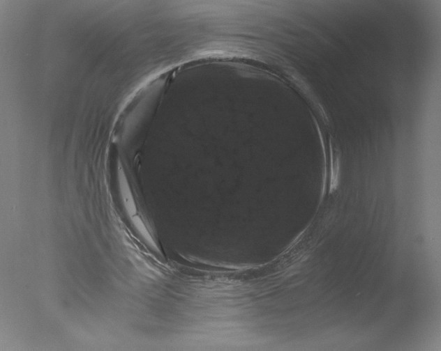 X0000076070387200610202020