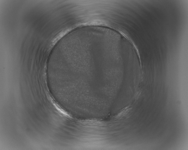 X0000076070389200610202020