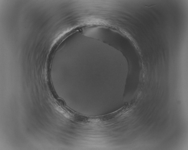 X0000076070391200610202020