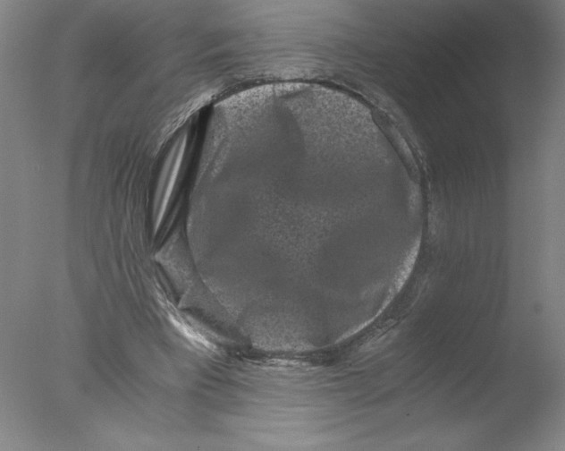 X0000076070393200610202020