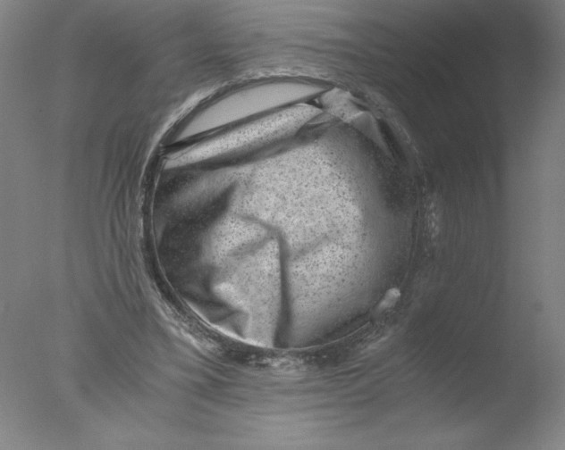 X0000076070395200610202019