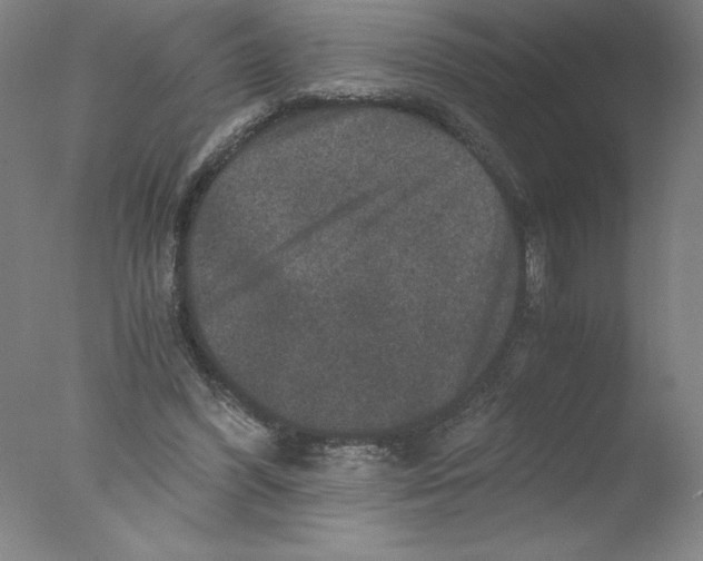 X0000076070396200610202019