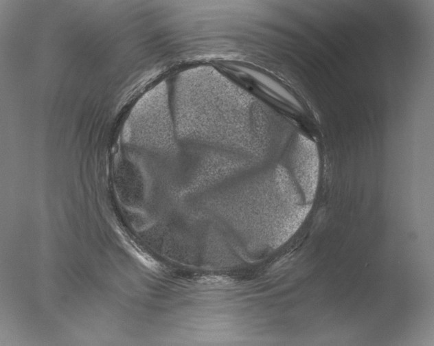 X0000076070397200610202019