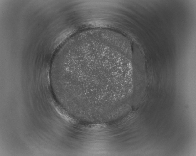 X0000076070398200610202019