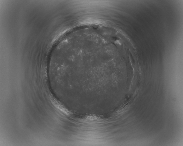 X0000076070399200610202019