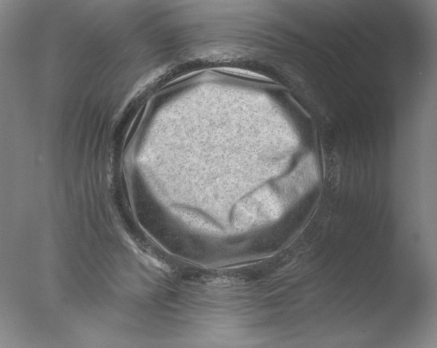 X0000076070400200610202019