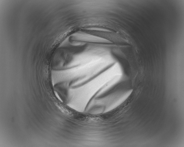 X0000076070401200610202019