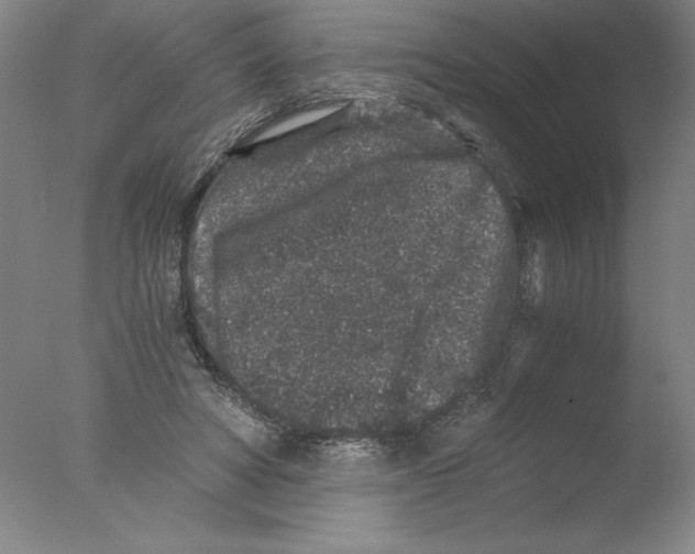 X0000076070402200610202019