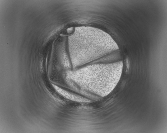 X0000076070404200610202019