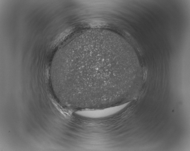 X0000076070405200610202019