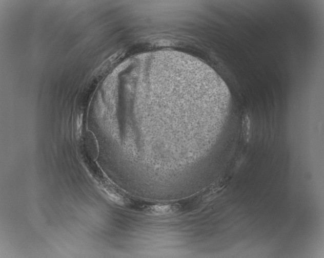 X0000076070406200610202019