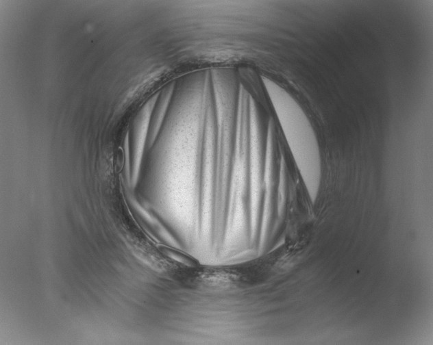 X0000076070407200610202019