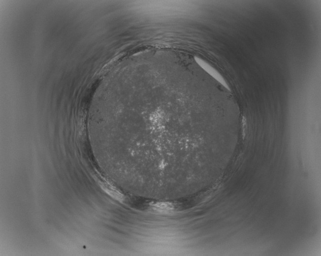 X0000076070409200610202019