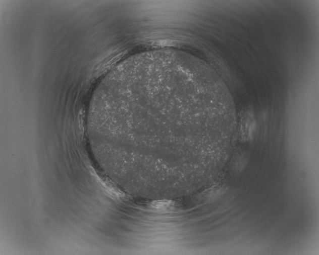 X0000076070410200610202019