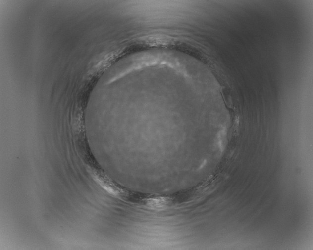 X0000076070411200610202019