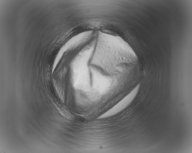 X0000076070413200610202019