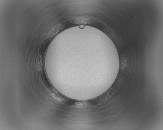 X0000076070414200610202019