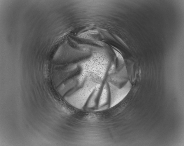 X0000076070416200610202019