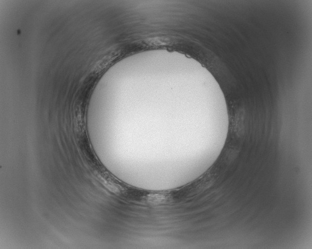 X0000076070418200610202019