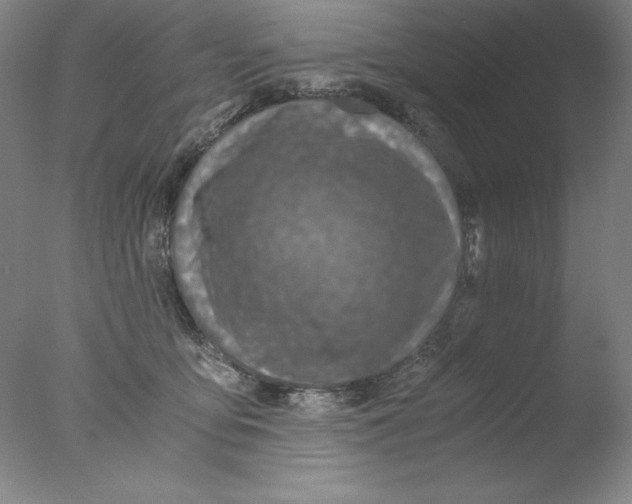 X0000076070419200610202019