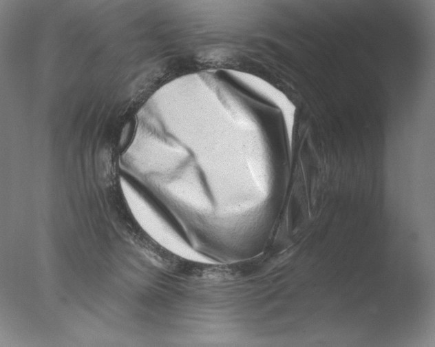 X0000076070420200610202019