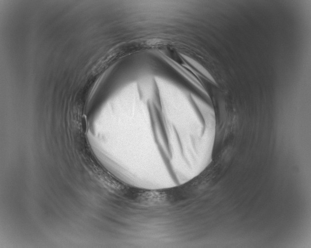 X0000076070421200610202019