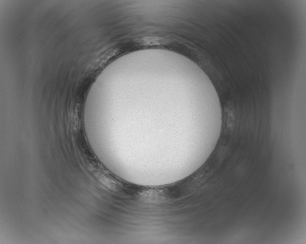 X0000076070422200610202019