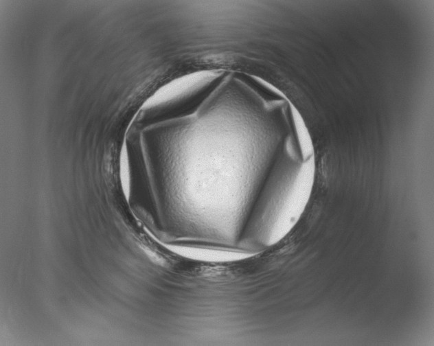 X0000076070424200610202019