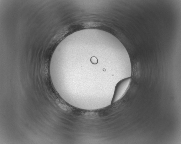 X0000076070426200610202019