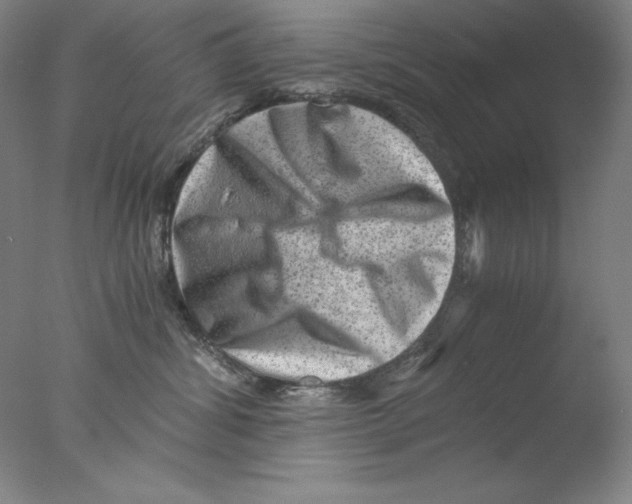 X0000076070428200610202019