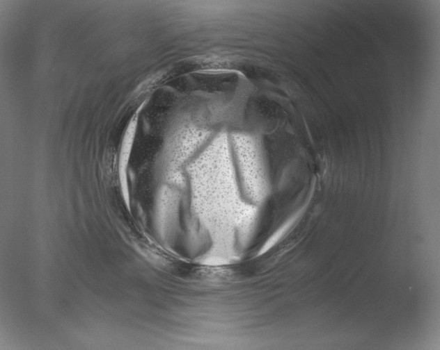 X0000076070429200610202019