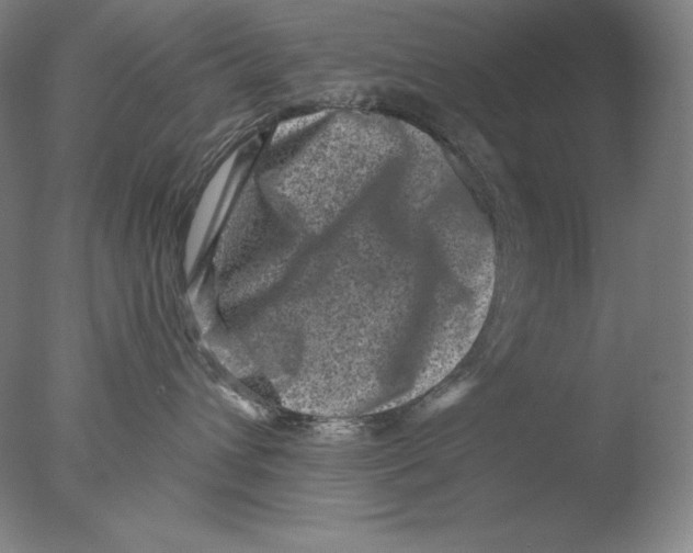 X0000076070432200610202019