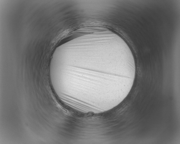 X0000076070433200610202018