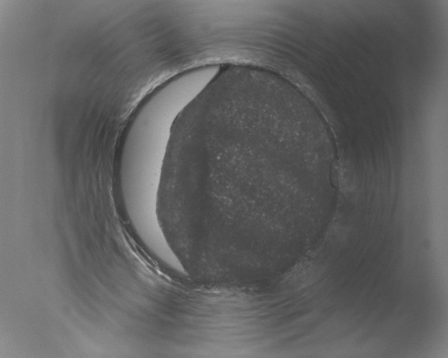 X0000076070434200610202018