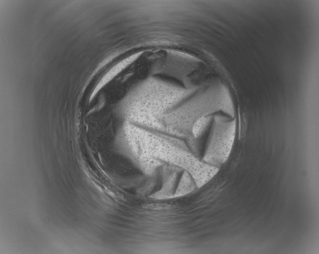 X0000076070435200610202018