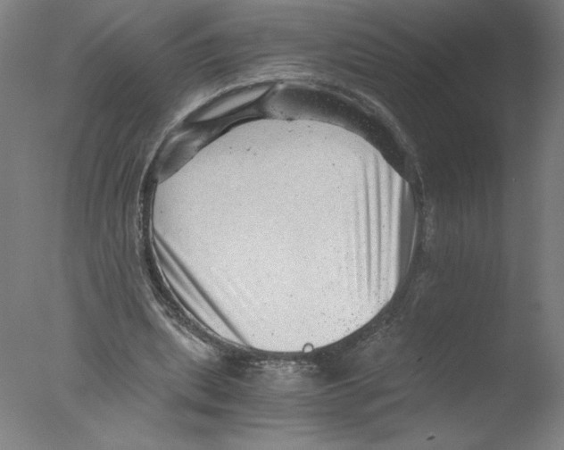 X0000076070439200610202018