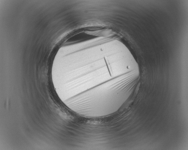 X0000076070440200610202018