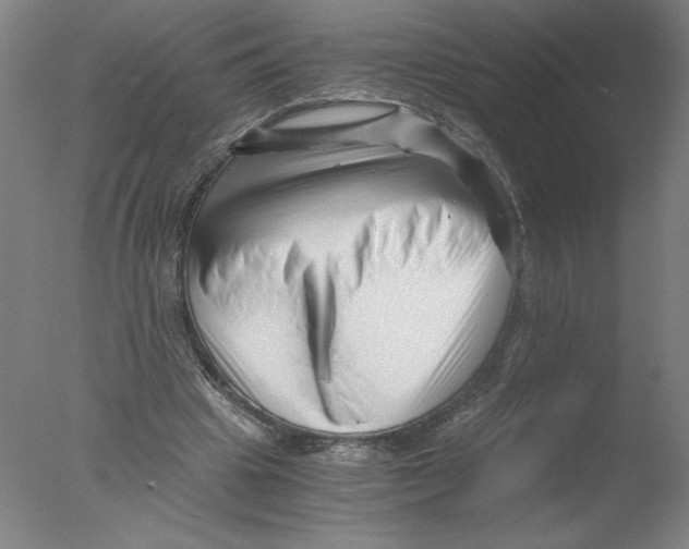 X0000076070441200610202018