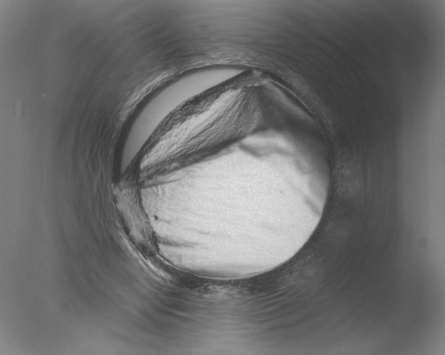 X0000076070442200610202018