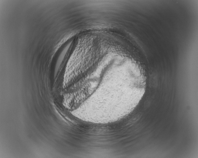 X0000076070443200610202018