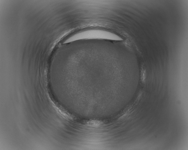 X0000076070444200610202018