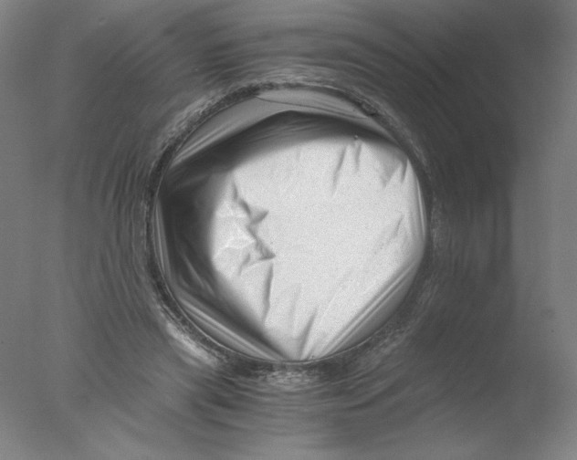 X0000076070445200610202018