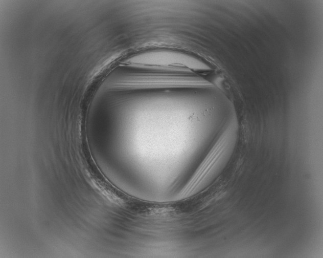 X0000076070446200610202018