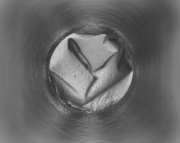 X0000076070447200610202018