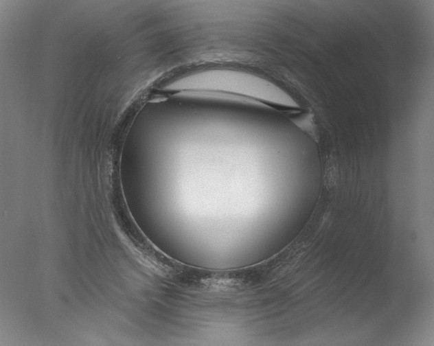 X0000076070448200610202018