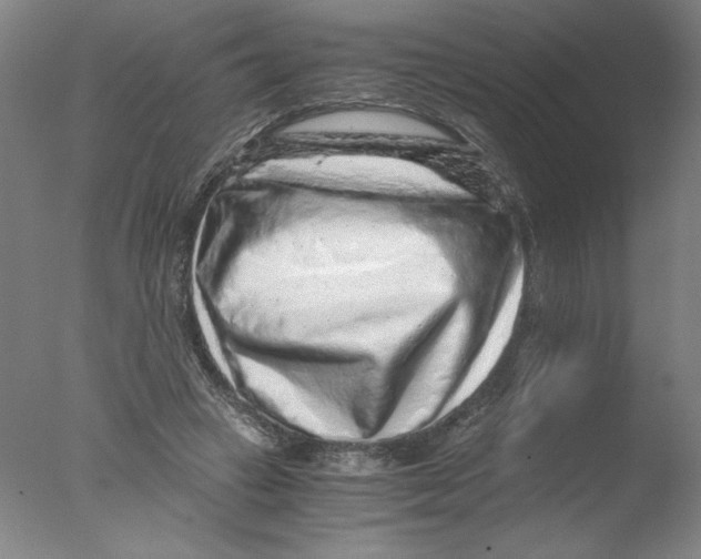 X0000076070449200610202018