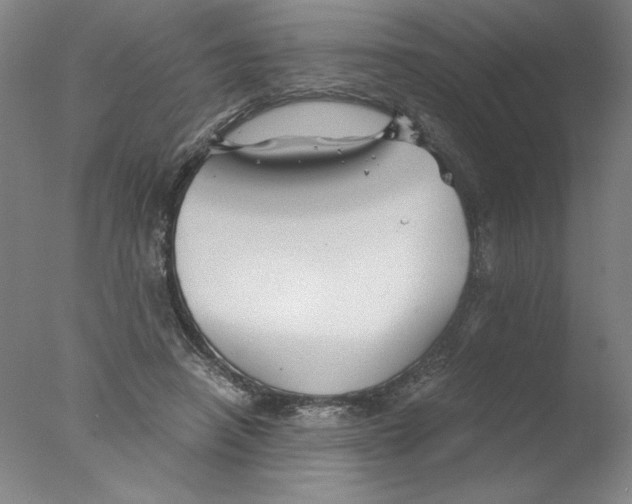 X0000076070450200610202018